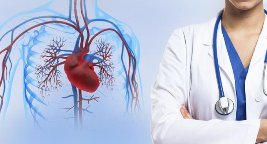 Лечебная программа «Болезни системы кровообращения и сердечно-сосудистой системы»