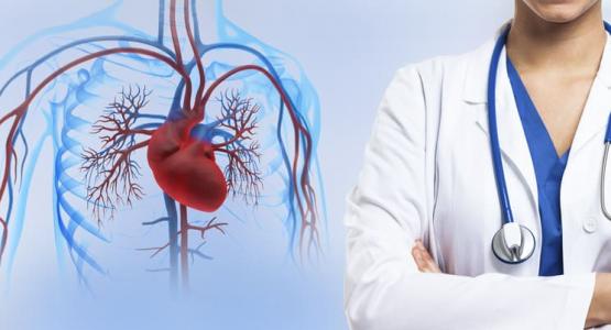 Лечебная программа «Болезни системы кровообращения и сердечно-сосудистой системы»